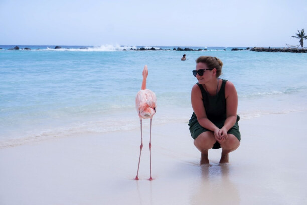 Eine Woche Aruba, Aruba, Flamingo-Foto anyone? Dieser Flamingo hatte offenbar weniger Lust auf 