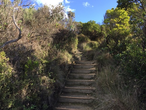 Kurztrip Victoria, Australien, Entlang der Great Ocean Road gibt es Wanderwege, welche zu den schöns