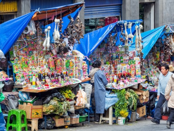 Langzeiturlaub Bolivien, Bolivien, Es macht Spaß, die lokalen Märkte in La Paz zu erkunden. Der Hexenma