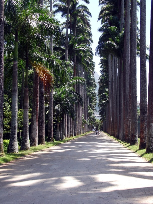 10 Tage Südosten, Brasilien, Im Stadtviertel Jardim Botanico liegt der 140 Hektar große botanische