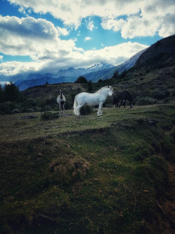 2 Wochen Patagonien, Chile, Cerro Castillo Nationalpark