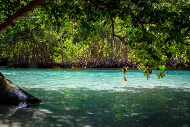 Langzeiturlaub Halbinsel Samana, Dominikanische Republik, Playa Rincón