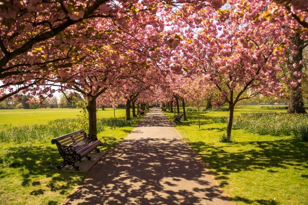 Kurzurlaub London & Umgebung, Großbritannien, Der Hydepark liegt im Zentrum Londons und ist perfekt für die verschi