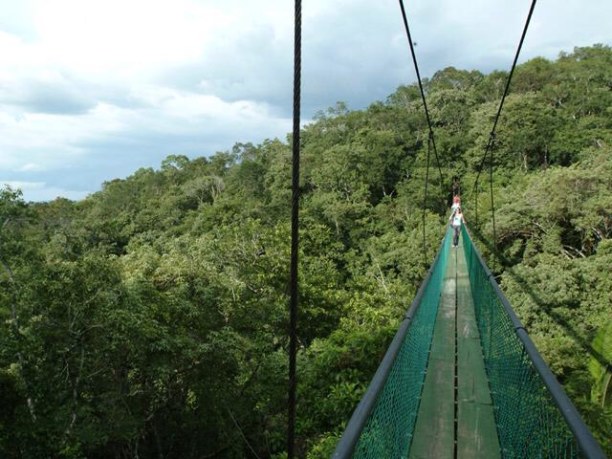 Langzeiturlaub Guatemala, Guatemala, Ixpanpajul ist ein Naturpark 15 Minuten von Flores entfernt.Es gibt ei