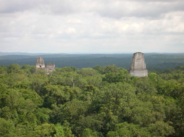 Langzeiturlaub Guatemala, Guatemala, Der Blick auf die Maya Stätte Tikal im Petén Dschungel, dem siebtgr