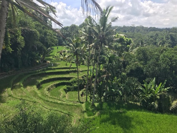 Zwei Wochen Indonesien » Bali