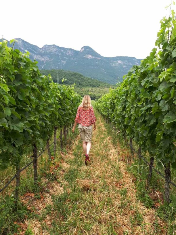 Kurzurlaub Trentino-Südtirol, Italien, Kleiner Spaziergang in den Weinbergen entlang der Südtiroler Weinstra