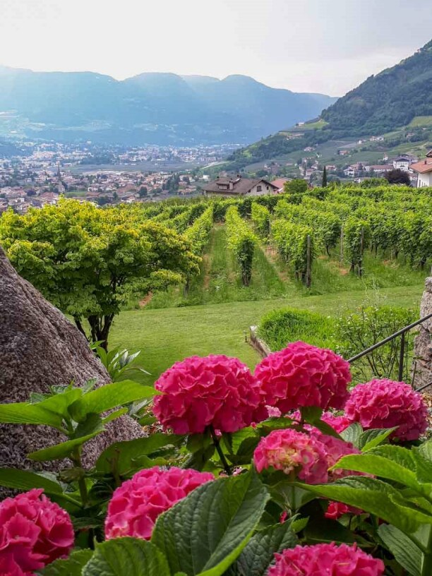 Kurztrip Trentino-Südtirol, Italien, Der märchenhafte Ausblick von Schloss Plars über die Meraner Weinber