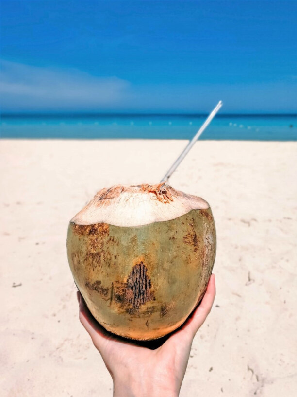 10 Tage Jamaika, Jamaika, Pflichtprogramm auf Jamaika: One coconut per day!