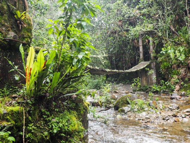 Kurzurlaub Filandia (Stadt), Kolumbien, Kolumbien, Über Hängebrücken geht der Wanderweg durchs Valle del Cocora