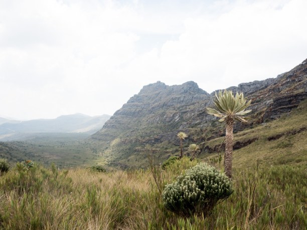 Kurzurlaub Kolumbien, Kolumbien, Im Nationalpark Chingaza gibt es einige Wanderwege, die es zu erkunden