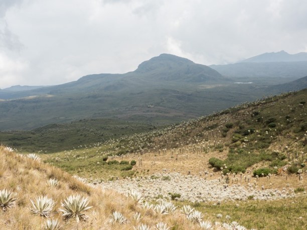 Kurzurlaub Kolumbien, Kolumbien, Parque Nacional Natural Chingaza