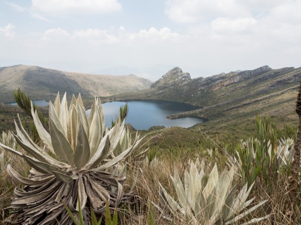 Kurztrip Kolumbien, Kolumbien, Der Nationalpark hält mehr als 70% des Wassers von Bogota.
