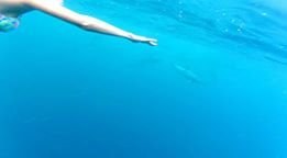 Zwei Wochen Mauritius, Mauritius, ein atemberaubender Moment jagte den nächsten - schwimmen mit Delphin