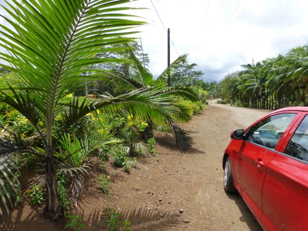 10 Tage Südküste, Mauritius, Unterwegs mit dem Mietwagen auf Mauritius