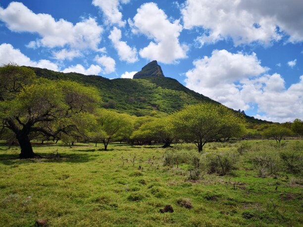 Zwei Wochen Westküste, Mauritius, Der Park war in die Natur integriert. Mit Mauritius habe ich immer nur