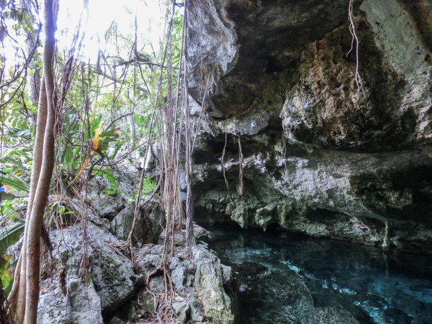 Zwei Wochen Riviera Maya & Insel Cozumel, Mexiko, Die Cenote finde ich schon von außen beeindruckend!