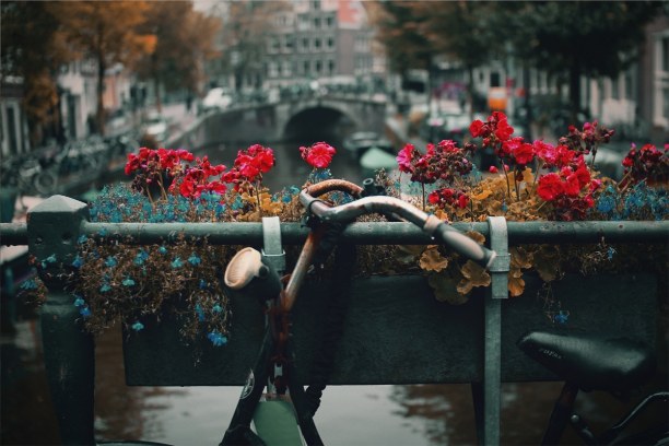 Kurzurlaub Amsterdam & Umgebung, Niederlande, Das Fahrrad ist das beliebteste Fortbewegungsmittel der Amsterdamer. F
