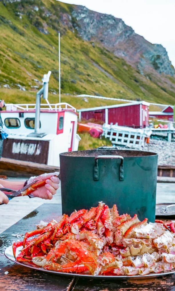 1 Woche Nordnorwegen, Norwegen, Die gekochten Krabben werden anschließend mit Meerwasser abgespült u