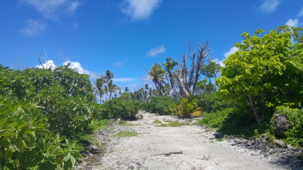 Kurzurlaub Palauinseln » Palauinseln