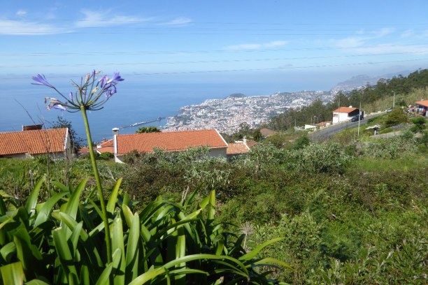 1 Woche Portugal » Madeira