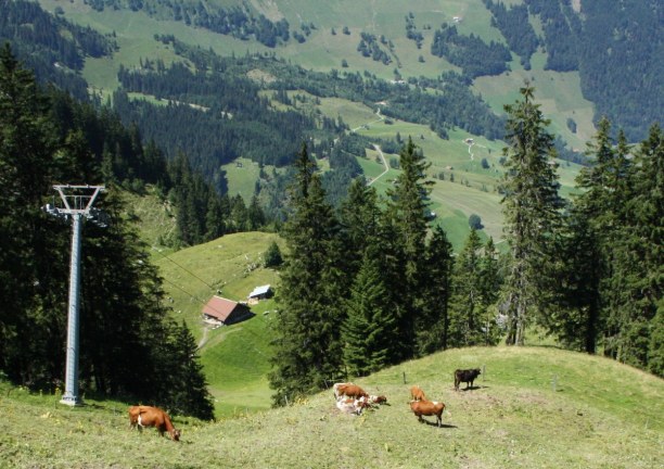 Kurzurlaub Schweiz » Mittelland