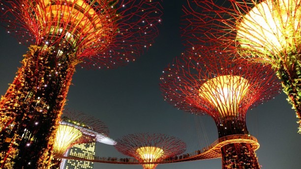 Kurzurlaub Singapur, Singapur, Die sogenannten Supertrees sind pflanzenbewachsene Stahlgerüste, die 