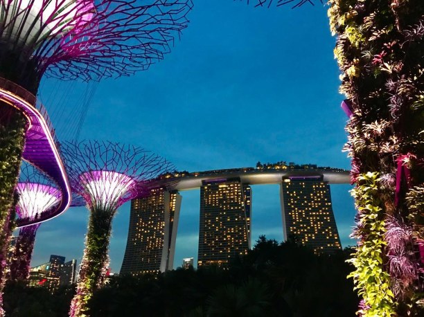 2 Wochen Singapur, Singapur, #gardensbythebay #singapore #tour #night #lights #Nice #city #state #i