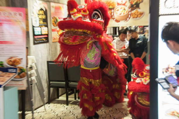 Kurzurlaub Singapur (Stadt), Singapur, Singapur, In den Tagen rund um Chinese New Year finden Drachentänze statt.