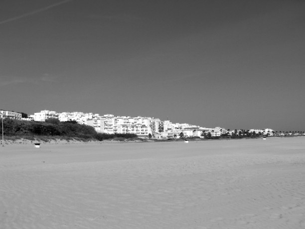 2 Wochen Andalusien, Spanien, Die Strände um Conil de la Frontera ist ein wahres Surferparadies. 
D