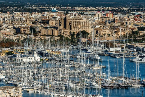 1 Woche Mallorca, Spanien, Yacht harbour - Palma di Mallorca with cathedral La Séu 