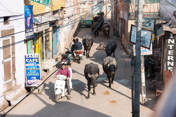 Kurztrip Agra (Stadt), Uttar Pradesh, Indien, Ich finde auch die verwinkelten Gassen im Tajganj spannend.